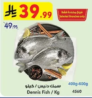 سمك دنيس