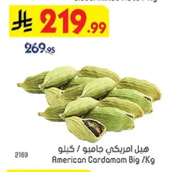 American Cardamom Big