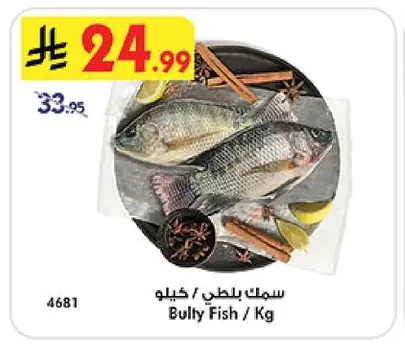 Bully Fish