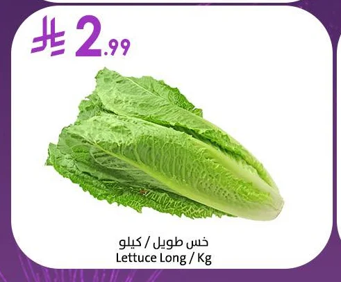 Lettuce Long