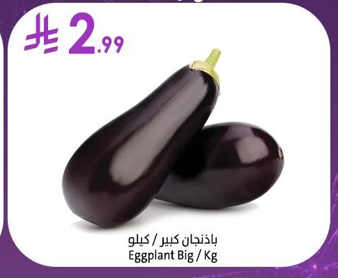 Eggplant Big