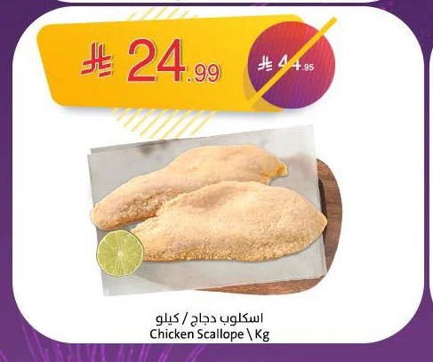 اسكلوب دجاج