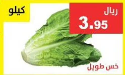 Long Lettuce