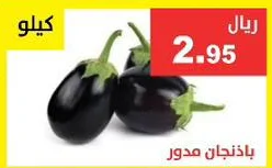 باذنجان مدور