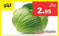 ملفوف محشي