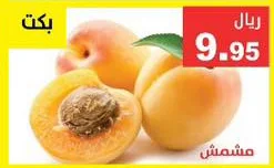 مشمش
