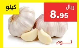 Garlic
