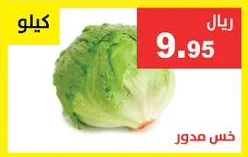 خس مدور