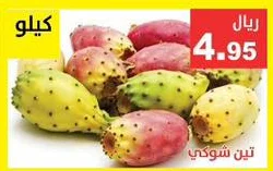 تين شوكي