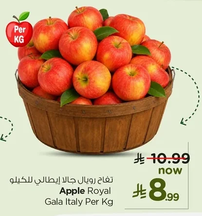 Apple Royal Gala Italy Per Kg
