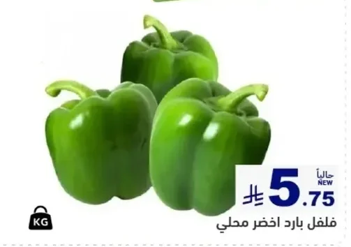 فلفل بارد اخضر محلي