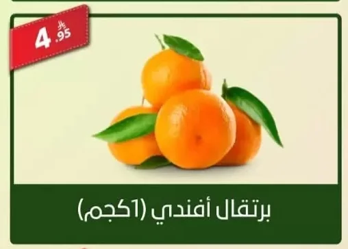 Valencia Orange