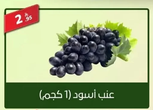 Grapes Black/Rose