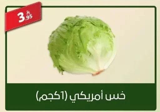 Iceberg Lettuce