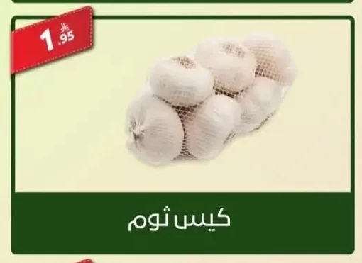 Garlic Bag