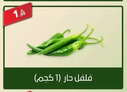 Hot Chili Pepper