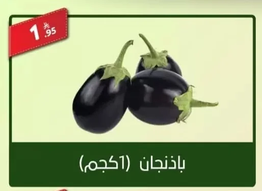 Eggplant