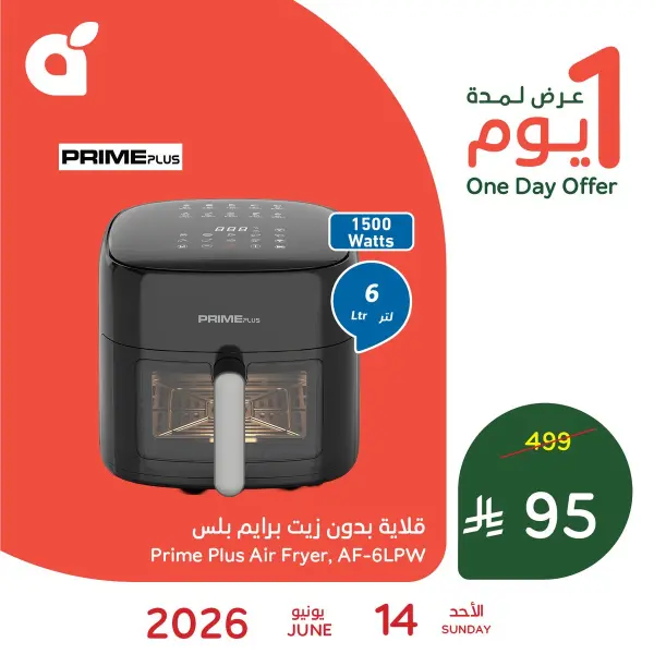 Panda Prime Plus Air Fryer Offer — Panda